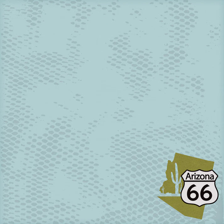 SSC Designs - Route 66 Collection -  Double-Sided Scrapbook Paper - Arizona Adventures 12 x 12