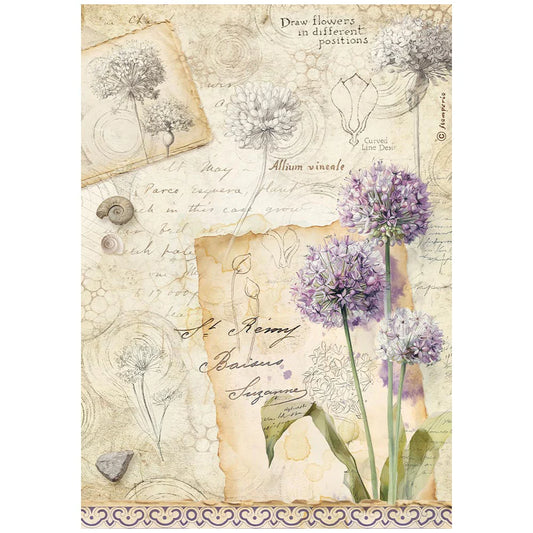 Stamperia - All Around Collection - A4 Rice Paper - Allium