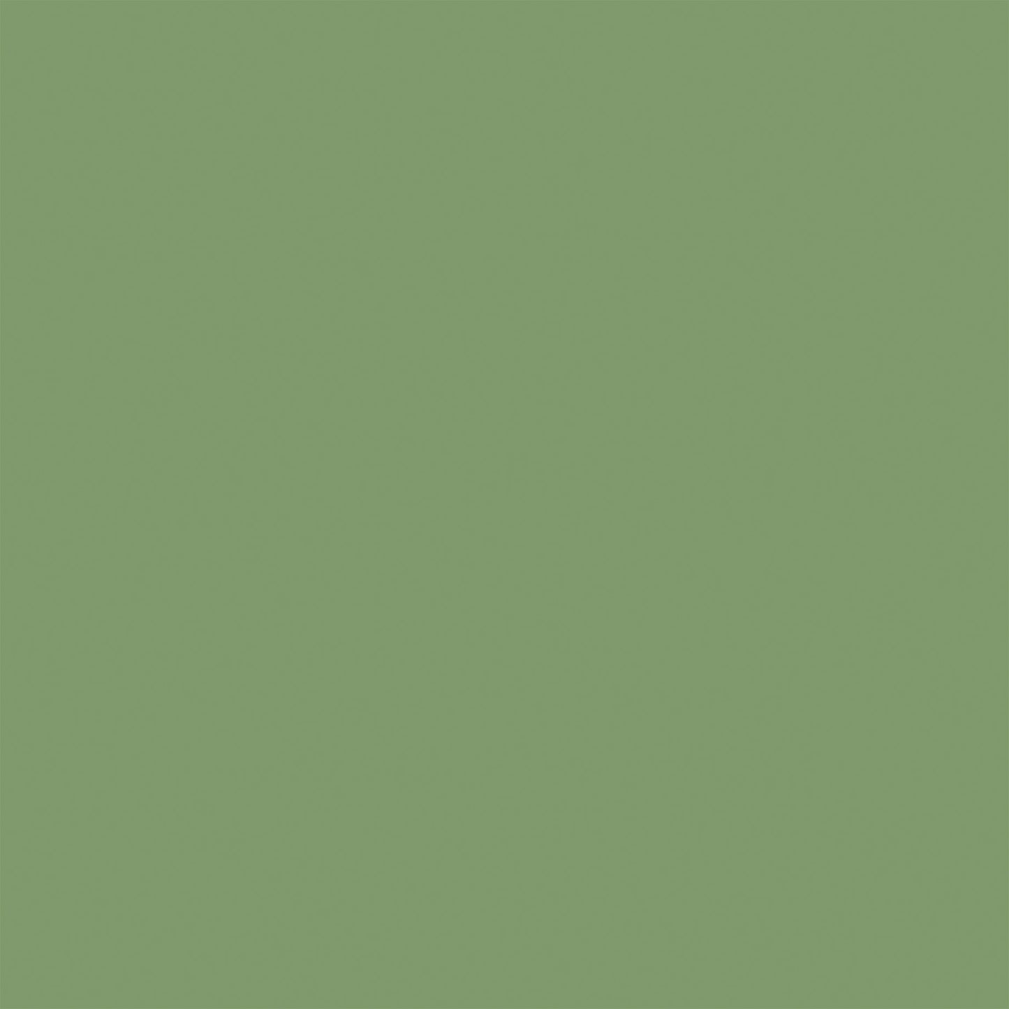 Echo Park - Strawberry Fields Collection - 12 x 12 Double Sided Paper - Blue/Green