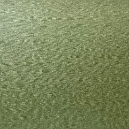 Encore - 12 x 12 Shimmer Textured Pearlescent Cardstock - Fern