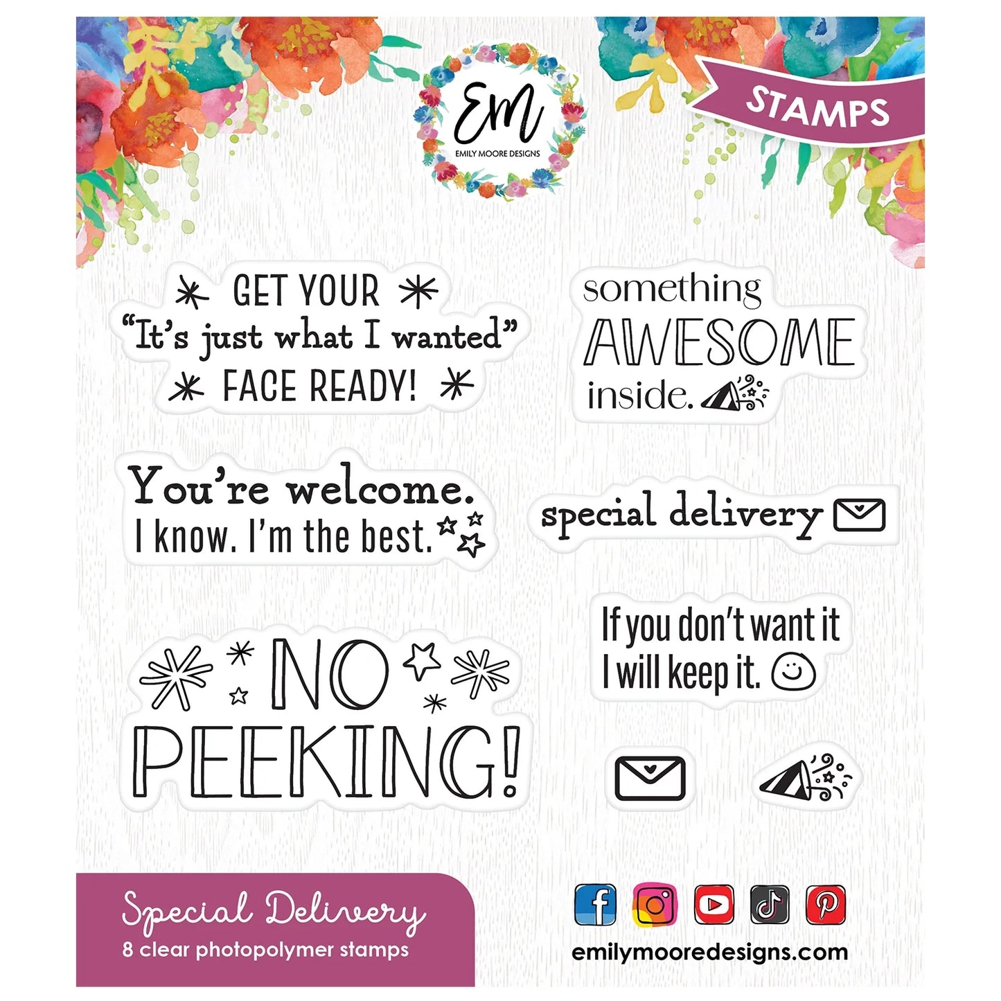 Emily Moore Designs -  Clear Photopolymer Stamps - Special Delivery