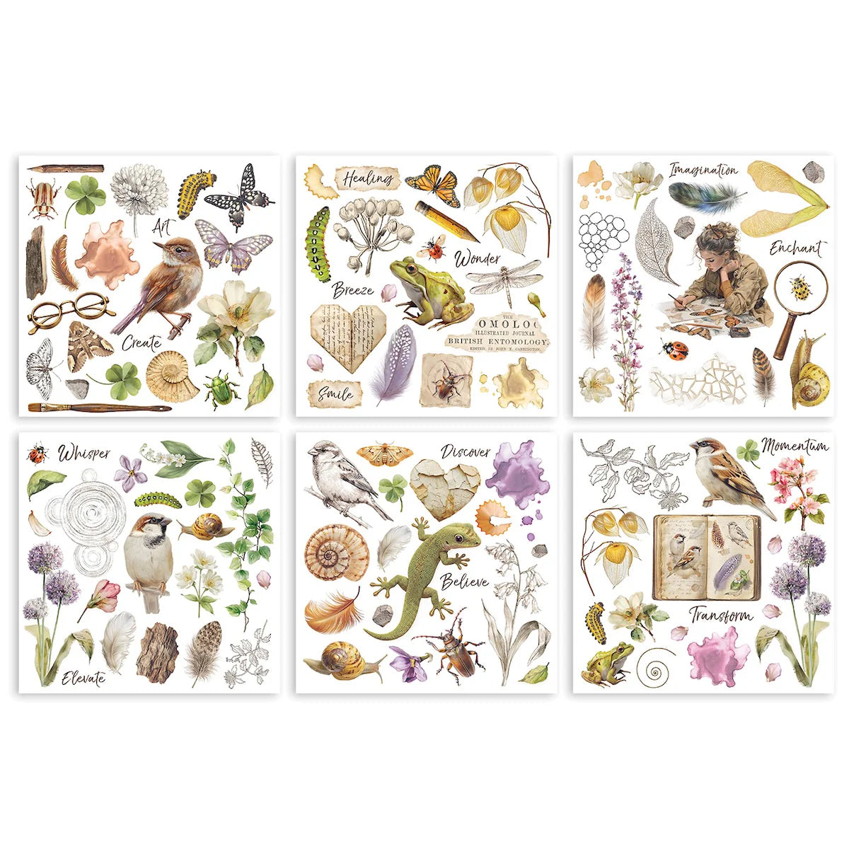 Stamperia - All Around Collection - Rub On Selection