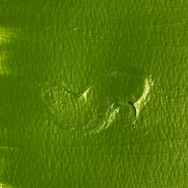 The Crafter's Workshop -   Stencil Butter 2 oz - Pistachio
