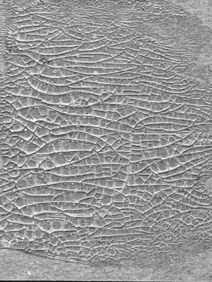 Ranger Ink - Tim Holtz - Distress Crackle Paste - 3 Ounces - Translucent
