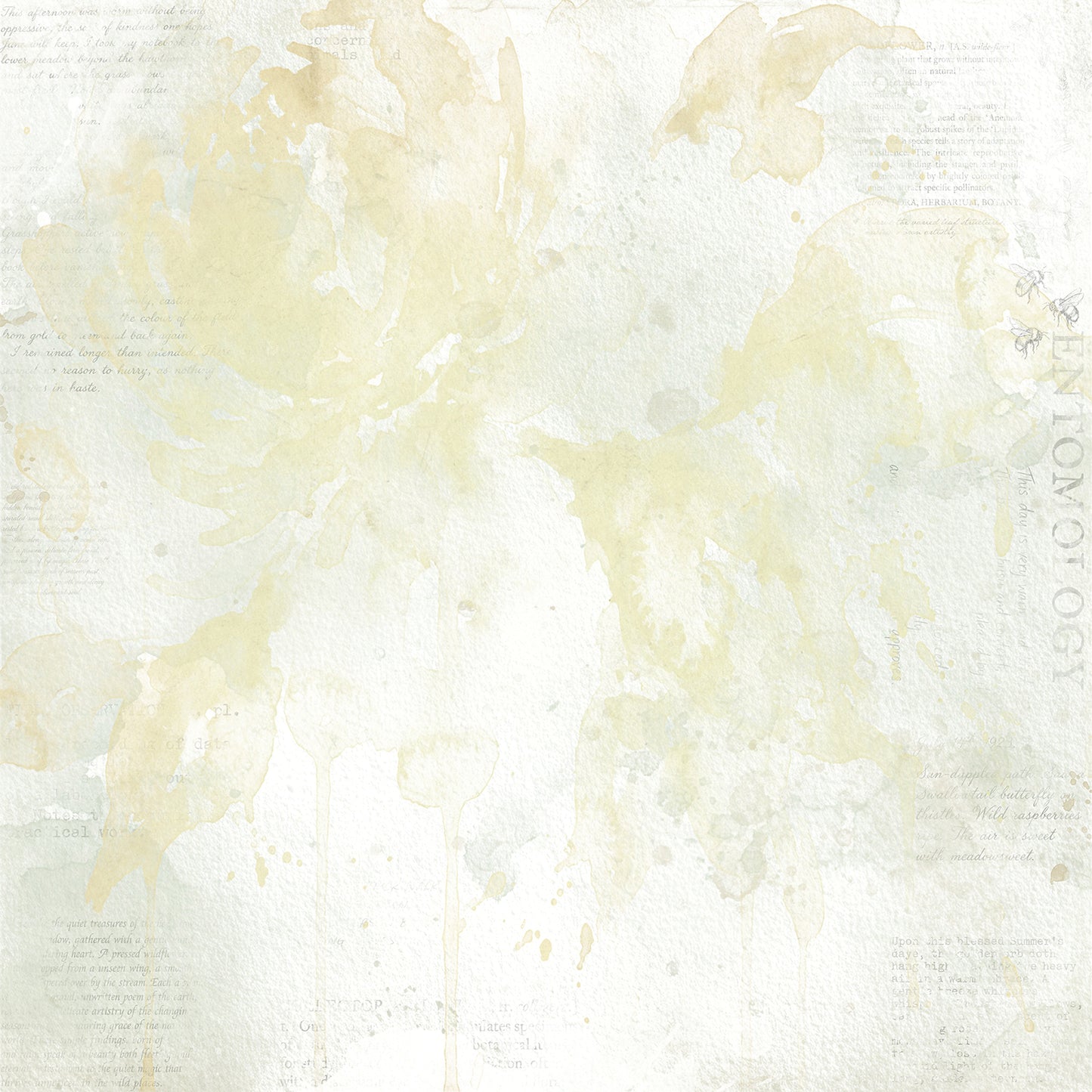 49 And Market - The Quiet Observer Collection - 12 x 12 Double-Sided Paper - Spliced