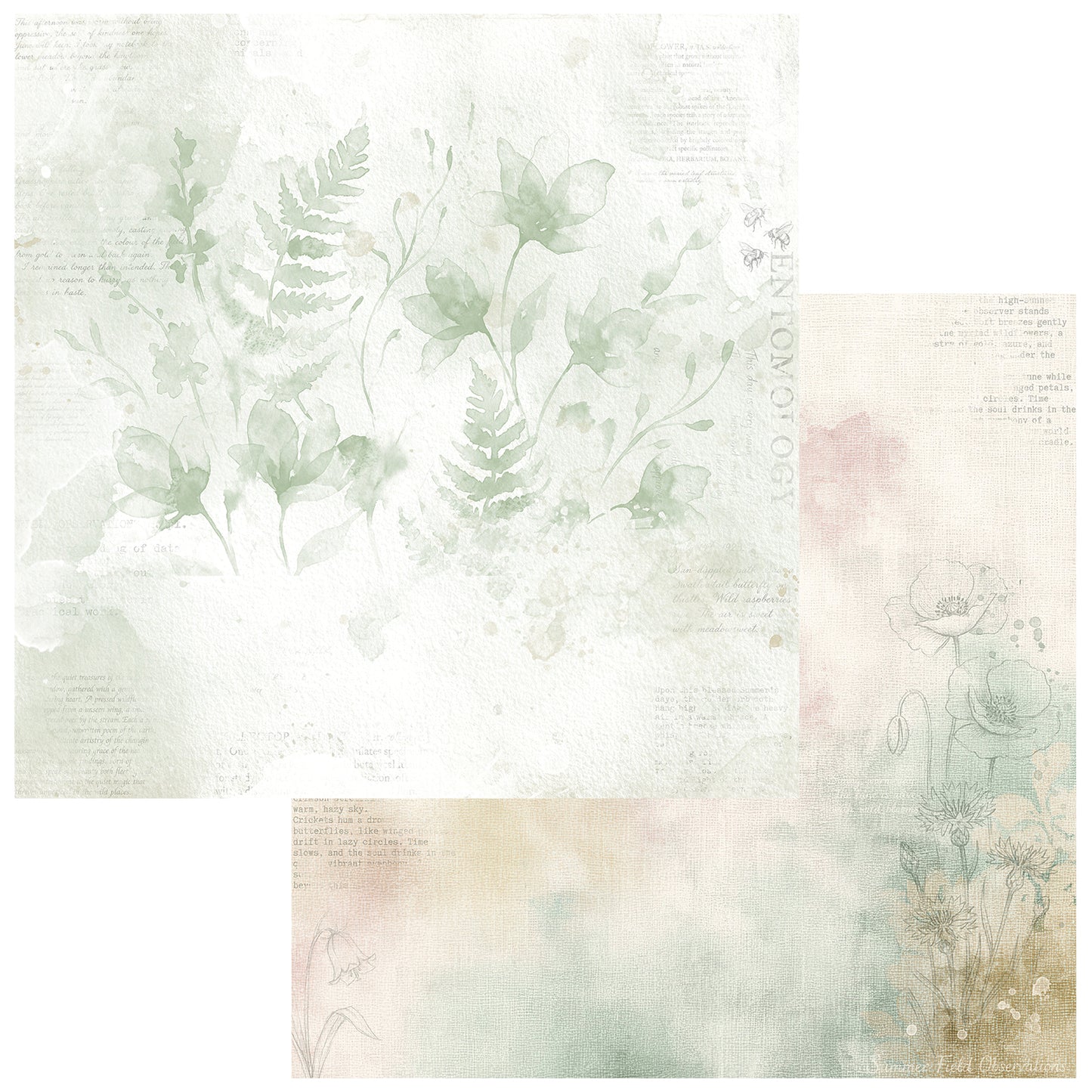 49 And Market - The Quiet Observer Collection - 12 x 12  Collection Pack