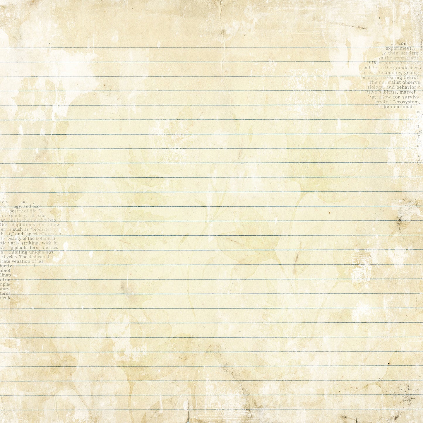 49 And Market - The Quiet Observer Collection - 12 x 12 Double-Sided Paper - Traces Of Flora