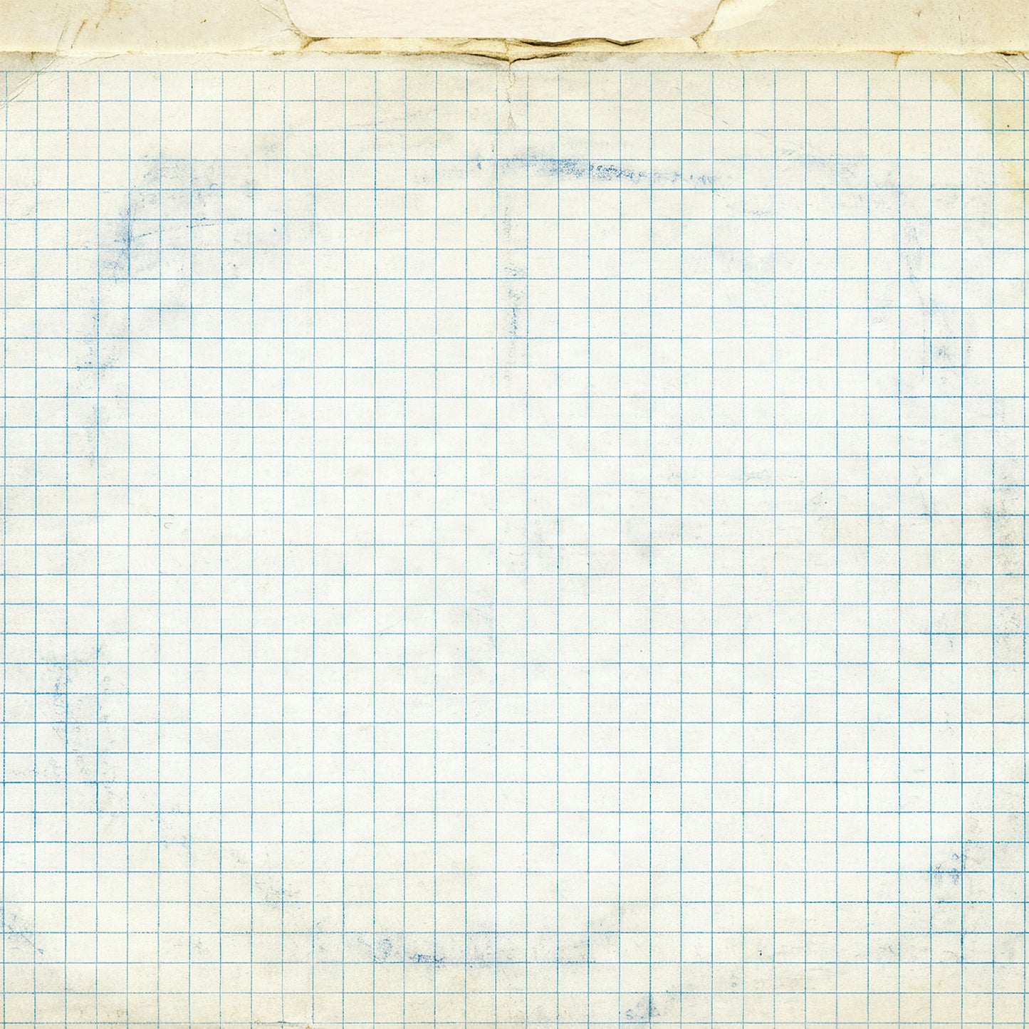49 And Market - The Quiet Observer Collection - 12 x 12 Double-Sided Paper - Postmarked Petals
