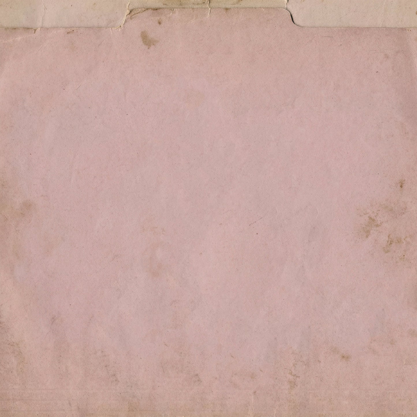 49 And Market - The Quiet Observer Collection - 12 x 12 Double-Sided Paper - Solids Sheet 4