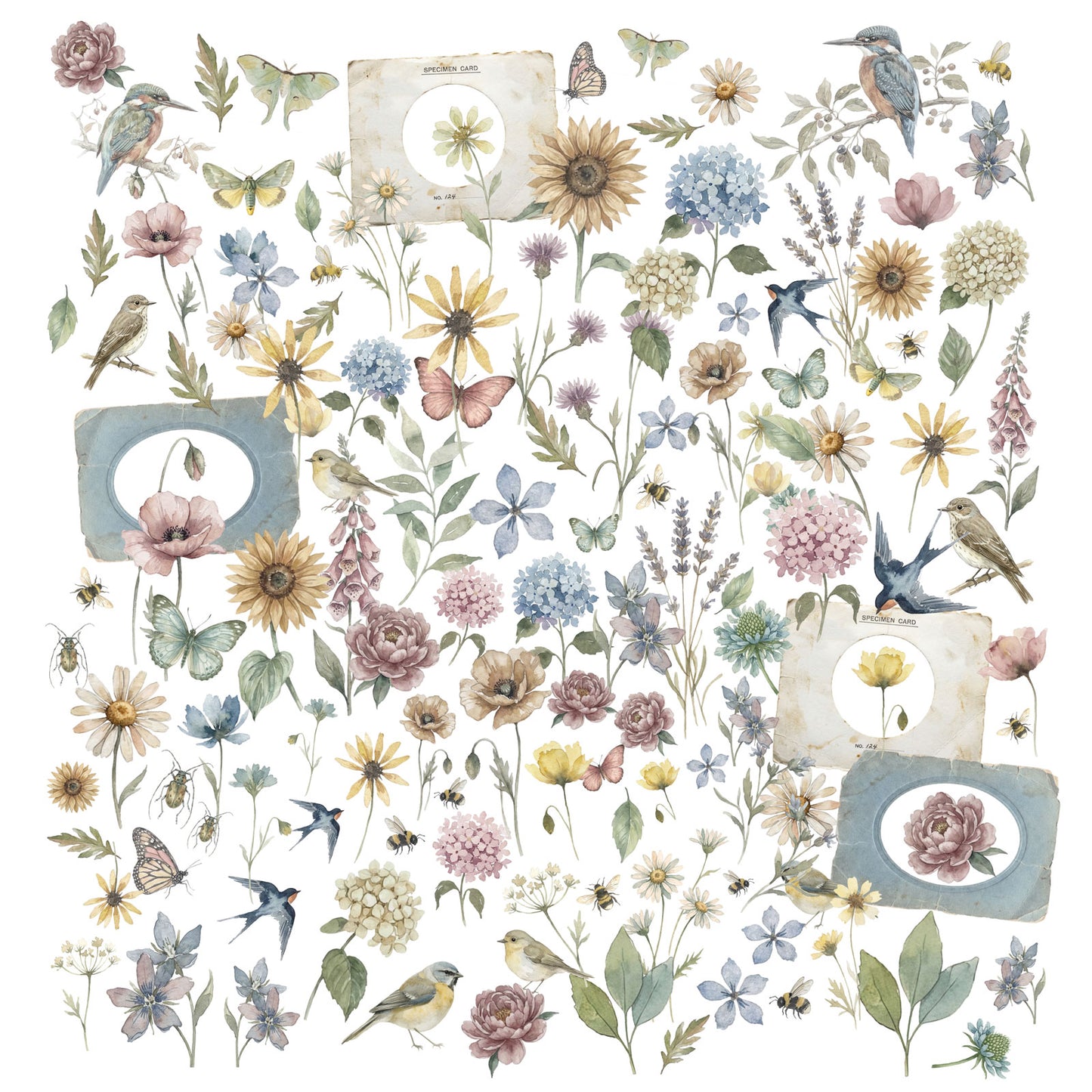 49 And Market - The Quiet Observer Collection - Laser Cuts - Wildflowers