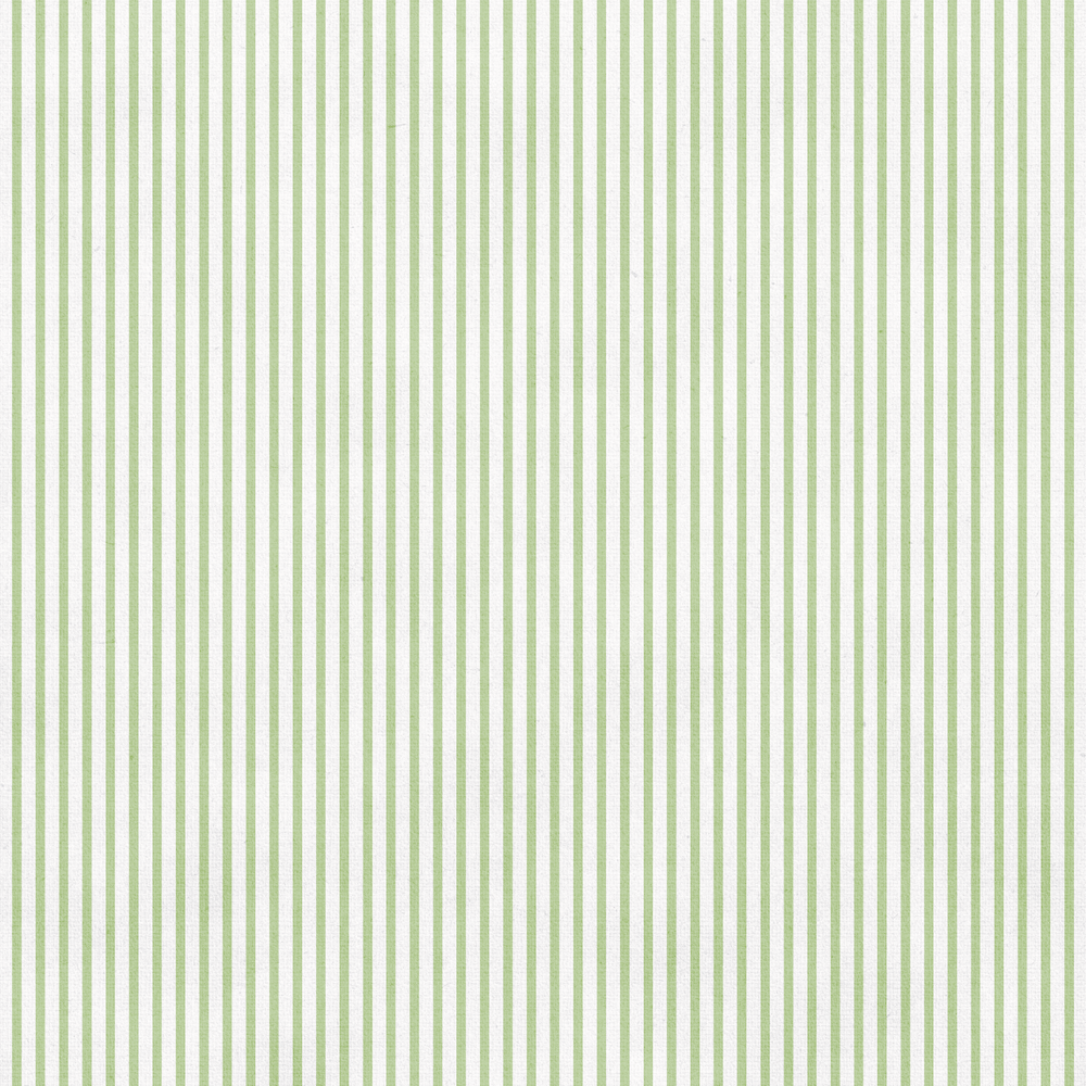 Uniquely Creative - Delighted Curiosities  Collection - 12 x 12 Double Sided Paper -