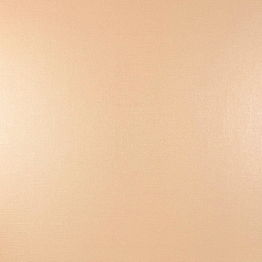 Encore - 12 x 12 Shimmer Textured Pearlescent Cardstock - Vanilla Pearl