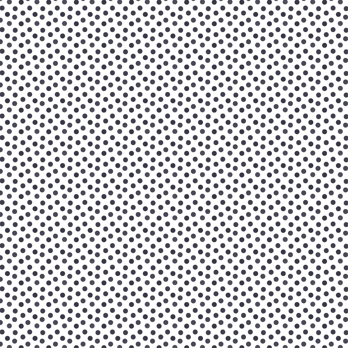 Echo Park - Watercolor Polka Dot Winter Collection - 12 x 12 Double Sided Paper - Navy