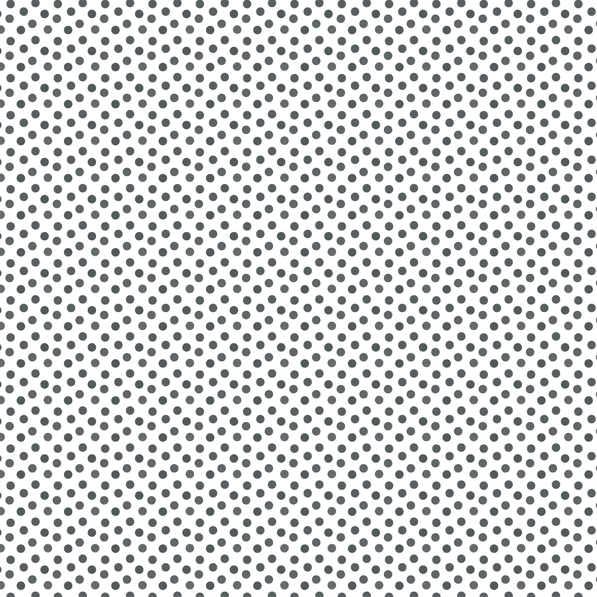 Echo Park - Watercolor Polka Dot Winter Collection - 12 x 12 Double Sided Paper - Slate