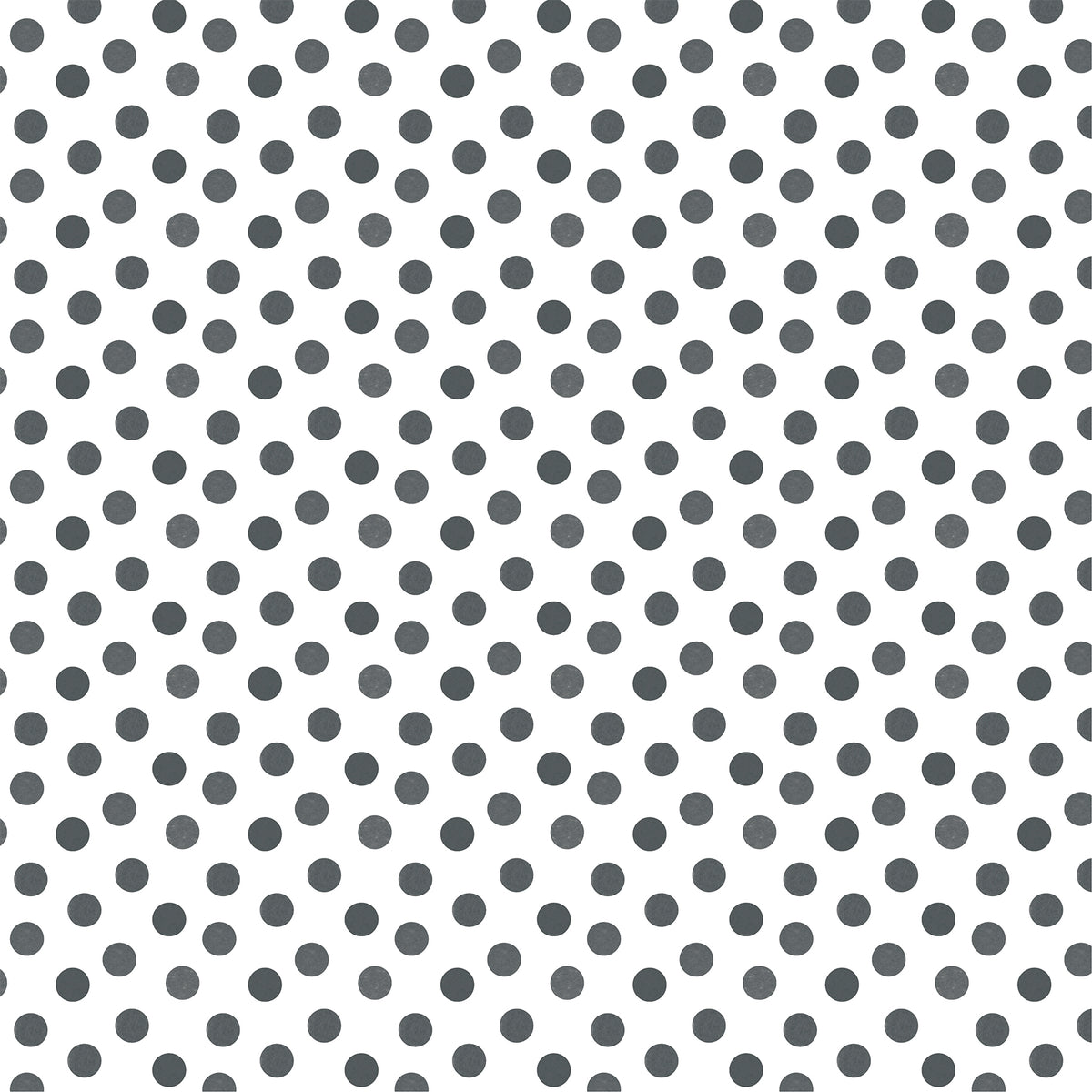 Echo Park - Watercolor Polka Dot Winter Collection - 12 x 12 Double Sided Paper - Slate