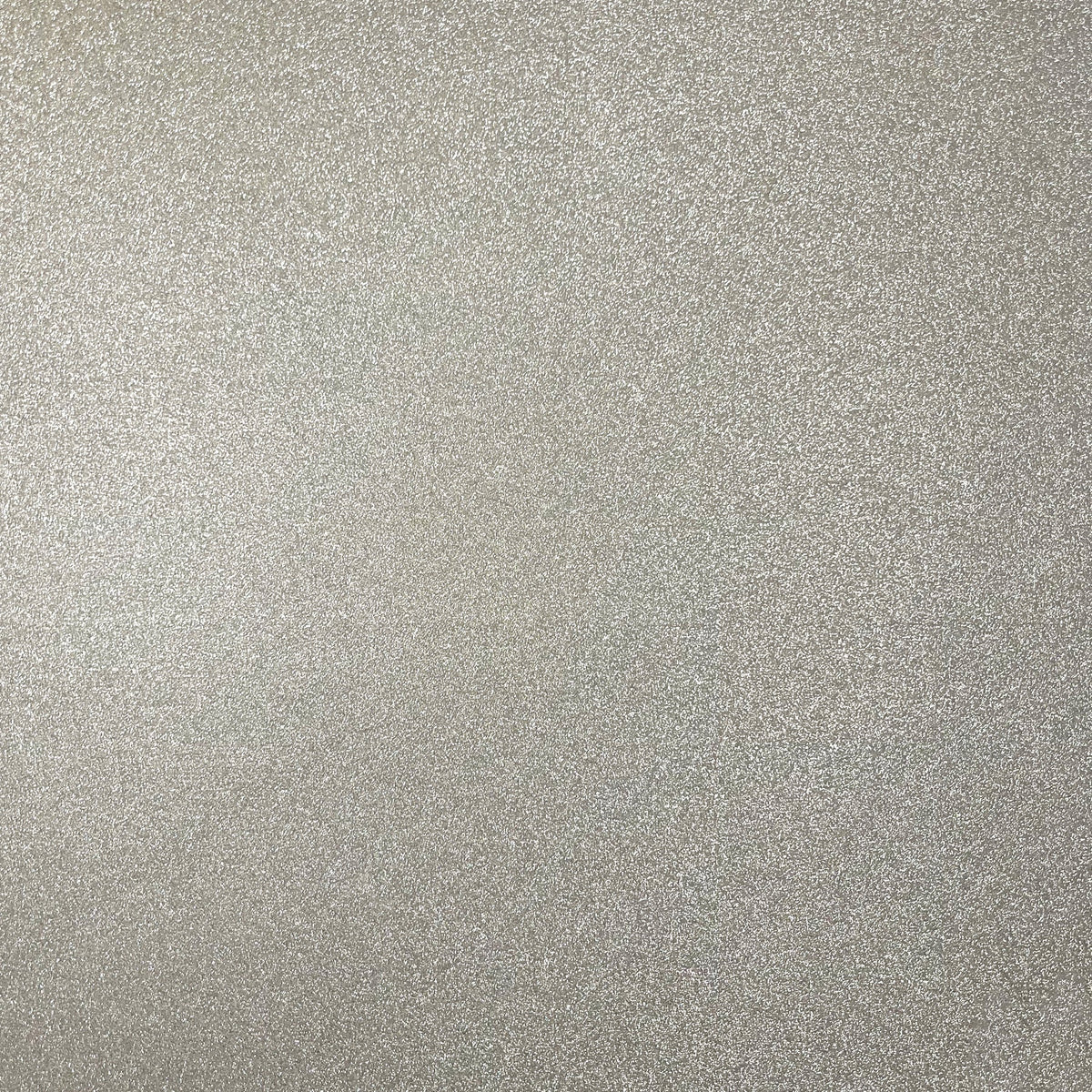 Encore Paper - 12 x 12 WOW No Shed Glitter Paper - Silver