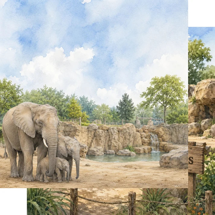 SSC Designs  - Zoo Adventures Collection - 12 x 12 Double Sided Scrapbook Paper - Elephant Adventures