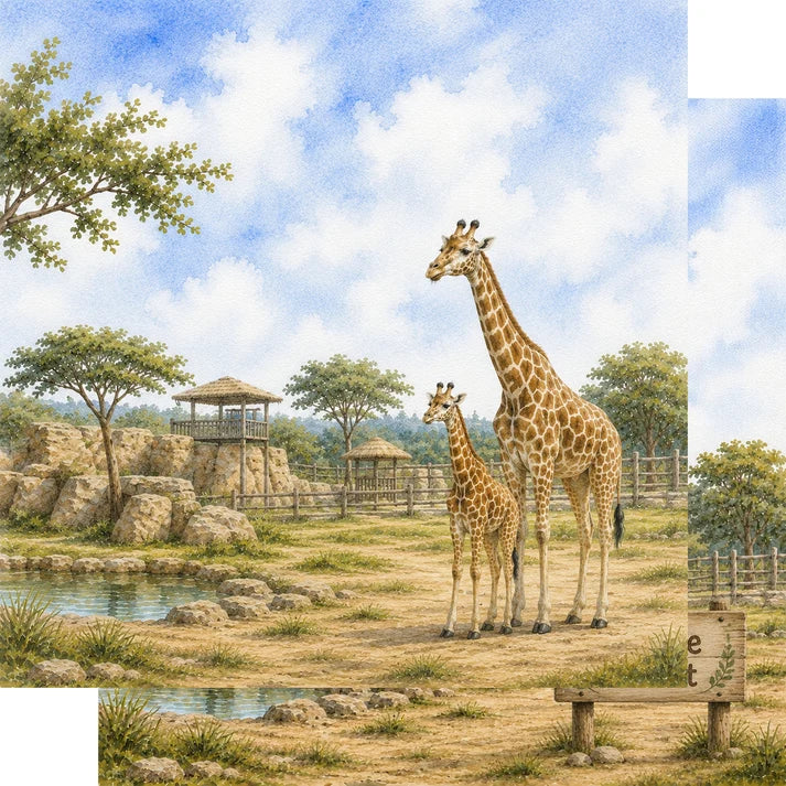 SSC Designs  - Zoo Adventures Collection - 12 x 12 Double Sided Scrapbook Paper - Giraffe Encounters