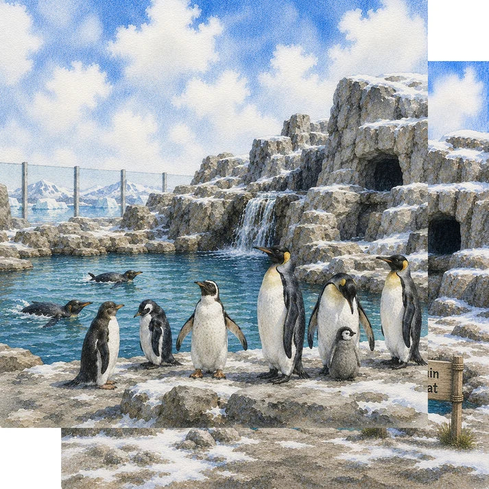 SSC Designs  - Zoo Adventures Collection - 12 x 12 Double Sided Scrapbook Paper - Playful Penguins
