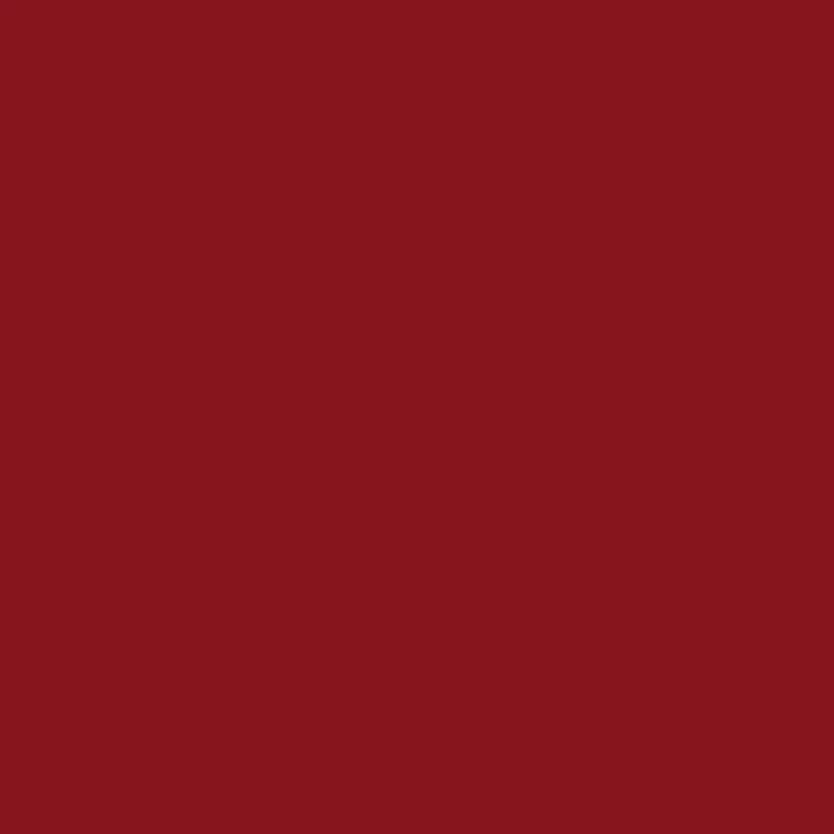 Bazzill 12 x 12 Textured Cardstock - Pomegranate