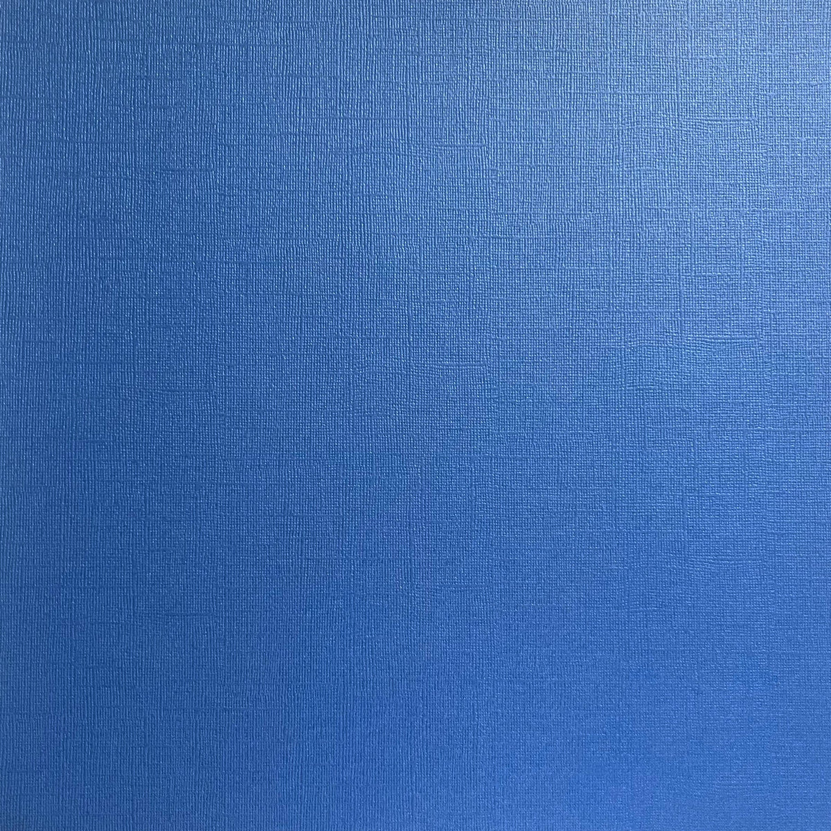 Encore - 12 x 12 Shimmer Textured Pearlescent Cardstock - Blue Butterfly