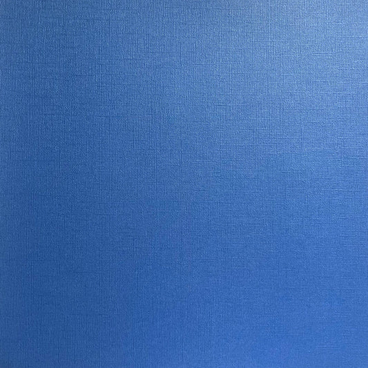 Encore - 12 x 12 Shimmer Textured Pearlescent Cardstock - Blue Butterfly