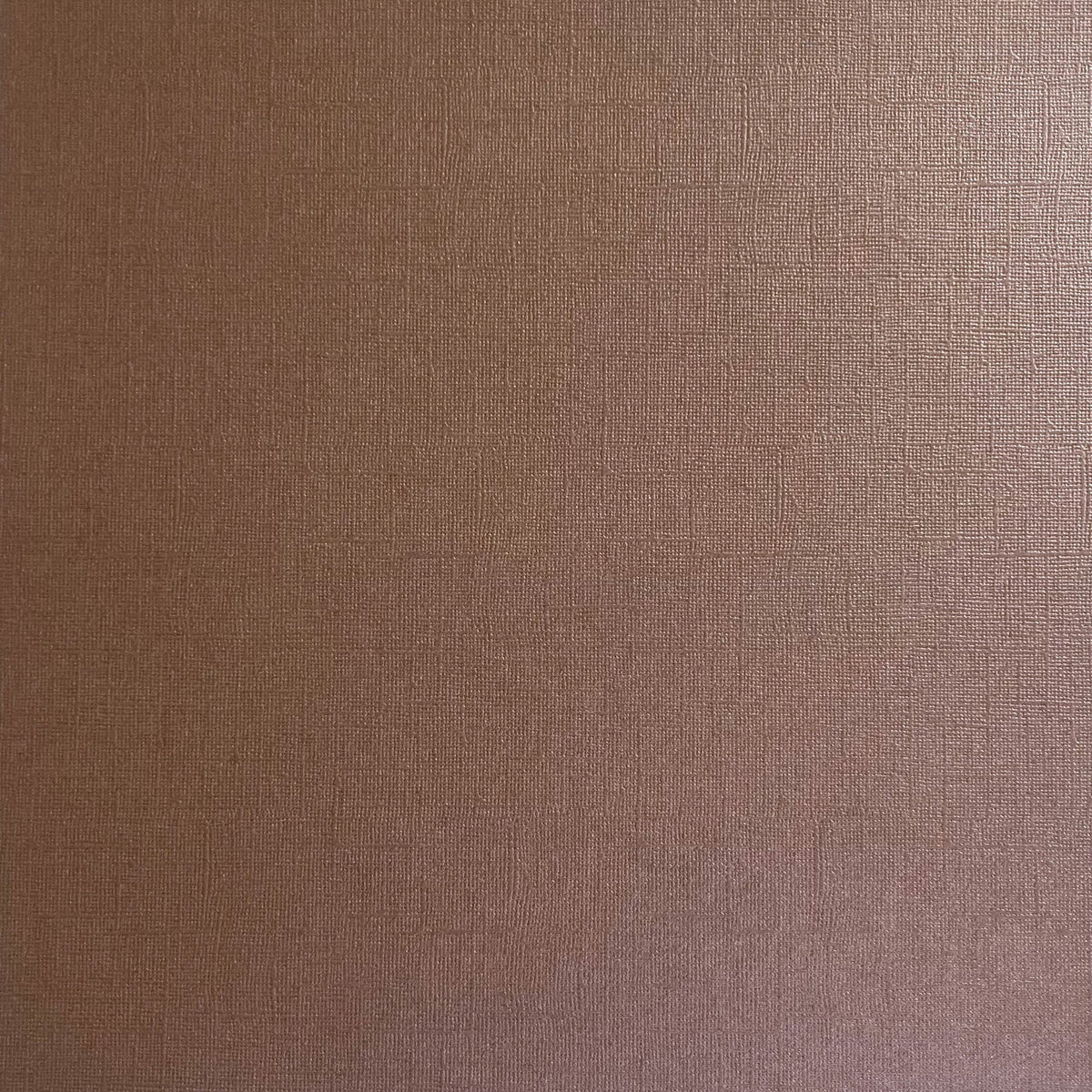 Encore - 12 x 12 Shimmer Textured Pearlescent Cardstock - Leather Chair